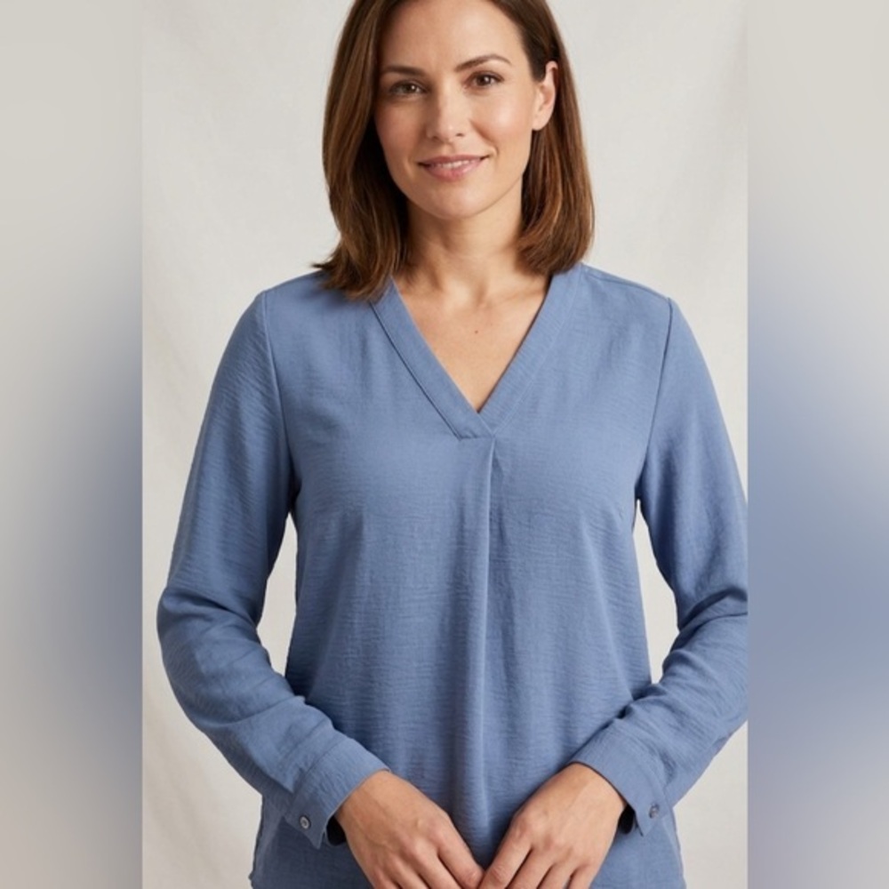 Dalia Long Sleeve V Neck Blouse NWOT